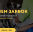 Информируем о начале отбора на предоставление субсидий сельскохозяйственным товаропроизводителям, а также научным и образовательным организациям на поддержку производства молока.. - Токмакский муниципальный округ